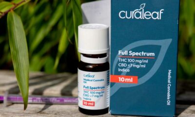 A canábis medicinal chega a Espanha