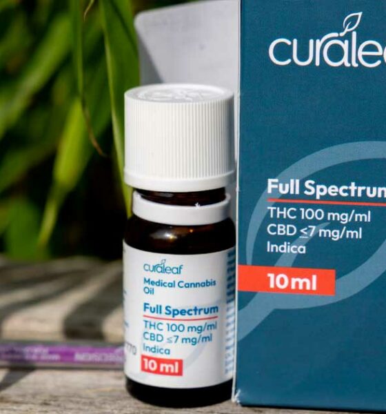 A canábis medicinal chega a Espanha