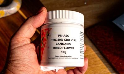 Estudos sobre a potência do THC