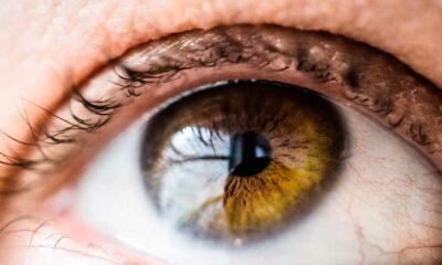 O CBD e o tratamento da inflamação ocular