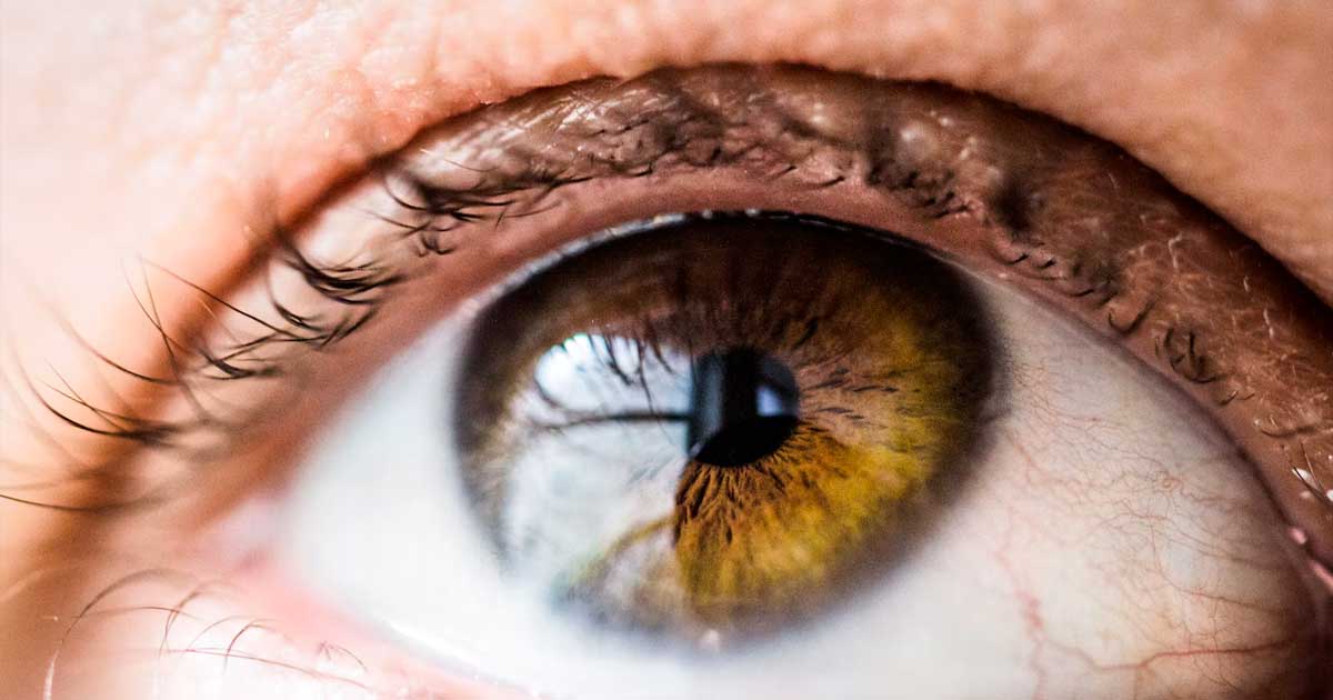 O CBD e o tratamento da inflamação ocular