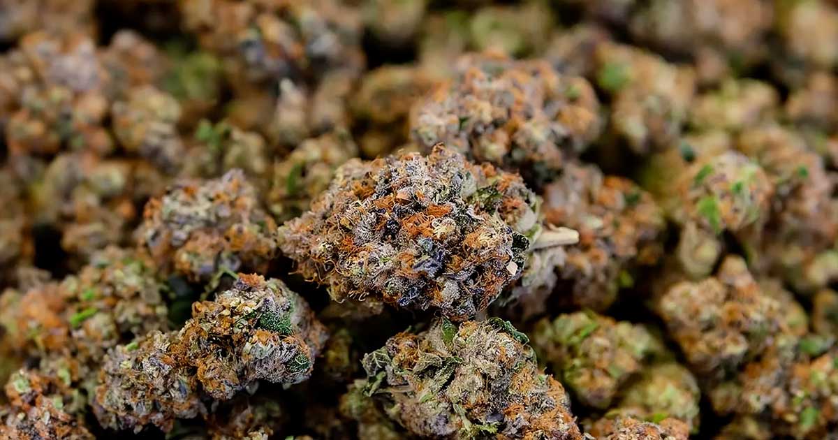 Proposta de lei sobre o CBD em França