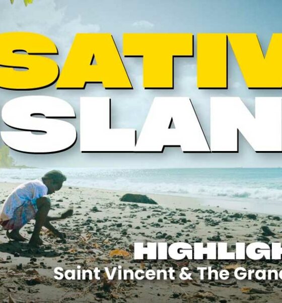 As variedades sativa de São Vicente e Granadinas