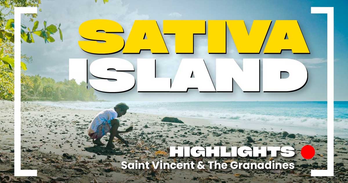 As variedades sativa de São Vicente e Granadinas