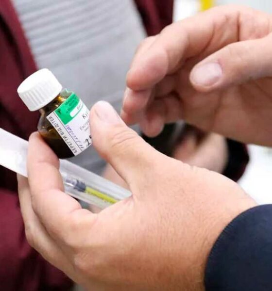 Canábis medicinal na Ucrânia no combate ao cancro