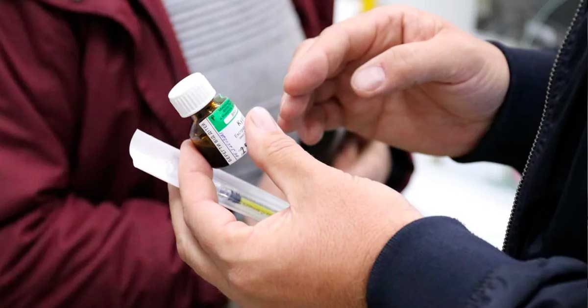 Canábis medicinal na Ucrânia no combate ao cancro
